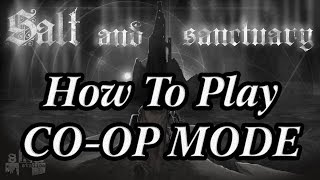 How To Access Salt amp Sanctuarys COOP Mode [upl. by Gaves]