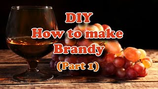 DIY How to make Brandy Part 1 [upl. by Aynotahs188]