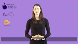 Learn Basic Greetings in British Sign Language BSL [upl. by Latsyrhk]