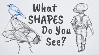 How to Draw ANYTHING Using Simple Shapes [upl. by Roter177]