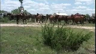 A Day in the Life of a West Texas Cowboy [upl. by Publea19]