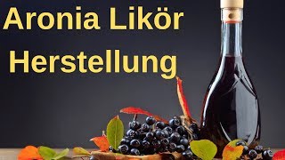 ⭐⭐ Aronia Likör selber herstellen  schnelles Aronia Likör Rezept ⭐⭐ [upl. by Etennaej832]