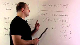 Example of SkewSymmetric Matrix [upl. by Ahseinet338]