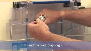 Bathroom Repair  How to Repair Toilet Cistern Smells [upl. by Anileve227]