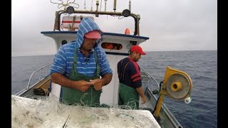 Fishing video Pesca Açores Azores fishing longline fishing profissional fishing [upl. by Leva156]