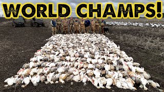 Snow Goose WORLD CHAMPS  473 Geese Killed [upl. by Ecnerol]