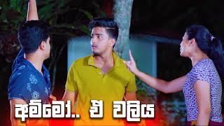 අම්මෝඒ වලිය  Diyani [upl. by Hildy]