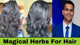 2 Magical Herbs For Hair Growth  Dr Vivek Joshi [upl. by Donetta]