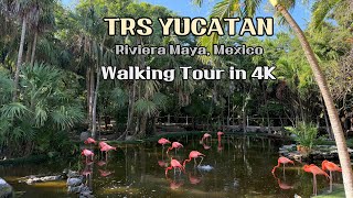 TRS Yucatan Riviera Maya Mexico The Resort Walking Tour [upl. by Addia]