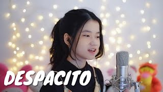 Despacito  Shania Yan Cover [upl. by Shreve146]