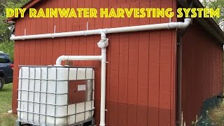 DIY Rainwater Harvesting System [upl. by Selij847]