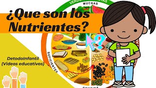 Que son los nutrientes  para niños video educativo [upl. by Akimas]