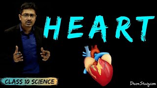 Heart  Life Processes 2  CBSE Class 10 Science  Toppr Study [upl. by Sirc]