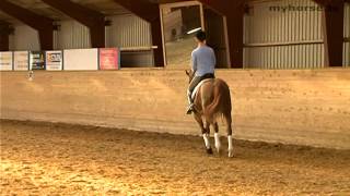 Dressage Exercixe  Counter Canter [upl. by Alyhs]