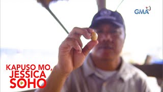 Kapuso Mo Jessica Soho Mangingisda nakapulot daw ng mamahaling perlas [upl. by Iolanthe]