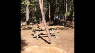 Hodgdon Meadow Campground Review Yosemite National Park [upl. by Tracie]