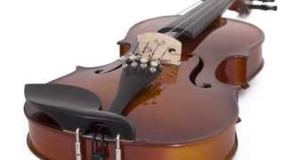 Cecilio CVN300 Violin Product Demo [upl. by Roxanna83]