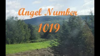 1019 Angel Number 1019 Significance amp Meaning [upl. by Airlia]