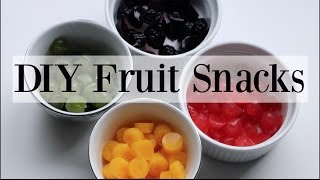 DIY Homemade Natural Fruit Snacks  Gummies  4 Recipes ♡ NaturallyThriftyMom [upl. by Guyer713]