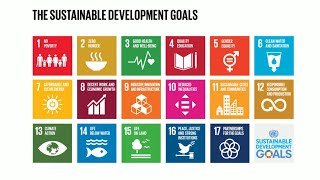 Do you know all 17 SDGs [upl. by Gustaf36]