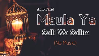 Maula Ya Salli Wa Sallim  No Music Version  Aqib FaridLyrics [upl. by Ellary]