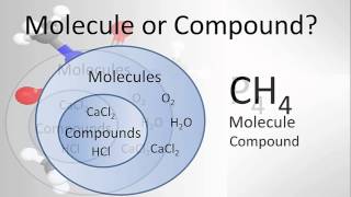 Molecule vs Compound Examples and Practice [upl. by Ire]