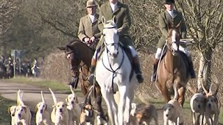 Despite Ban Fox Hunts Still Thrive in Britain [upl. by Nanda]