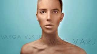 VARGA VIKTOR  Még Várj Official Audio [upl. by Feirahs]