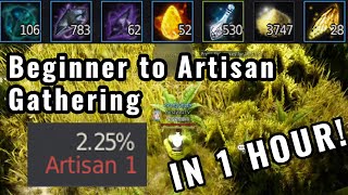 BDO Gathering With Mastery  Power level from Beginner to Artisan in Under an Hour [upl. by Annaul812]