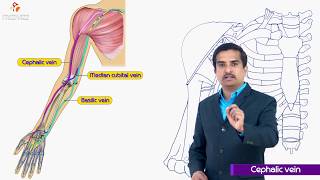 How to ensure right shape of head in newborns  Dr Varsha Saxena [upl. by Antrim267]