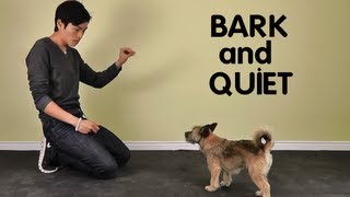 Teach Dog to Stop Barking  Bark and Quiet on Cue [upl. by Fulcher538]