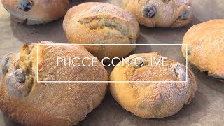 Le Pucce dellImmacolata con olive nere  CostedelSudit [upl. by Geraint]