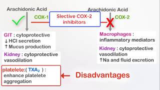 NSAIDs Ibuprofen and selective COX2 inhibitors Celecoxib [upl. by Biel885]