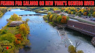 Oswego River Salmon Fishing [upl. by Thurston448]