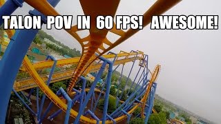 Talon Roller Coaster Front Seat amp Reverse POV 60FPS Dorney Park Allentown PA [upl. by Roselle]