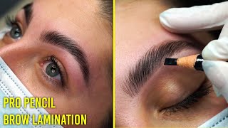 Follow along Brow Lamination tutorial for all eyebrow types Pro Pencil [upl. by Osnola]