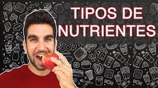 NUTRICIÓN Tipos de nutrientes [upl. by Kinsman]