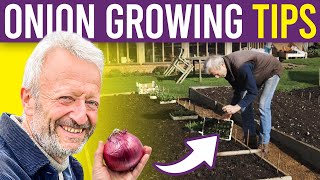 Onion 101 A Beginners Guide to Growing Onions and Spring Onions from Seed for Large Harvests [upl. by Crooks]