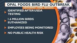 Bird Flu outbreak reported in Neosho MO [upl. by Heisel]