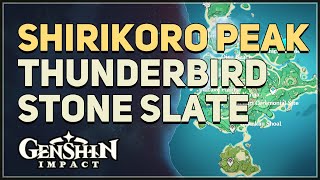 Shirikoro Peak Thunderbird Stone Slate Puzzles Genshin Impact [upl. by Conan]