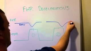 Special embryology  foetal circulation [upl. by Nary]