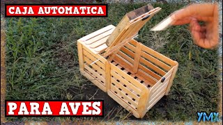 Trampa Para Aves automática  TUTORIAL YMX SUPERVIVENCIA [upl. by Nymzaj]