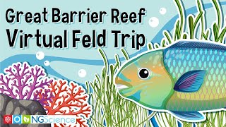 Great Barrier Reef – Virtual Feld Trip [upl. by Yentruoc952]