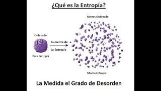 que es ENTROPIA [upl. by Ambur]