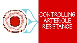 43 Cardiovascular Controlling Arteriole Resistance [upl. by Shotton92]