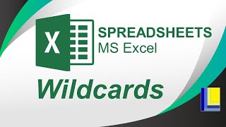 MS Excel  Wildcards [upl. by Oap236]