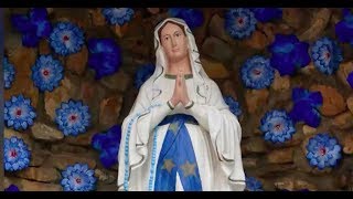 La storia delle apparizioni della Madonna a Lourdes [upl. by Newnorb]