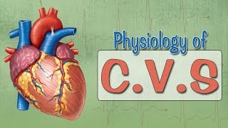 Easy Physiology  CVS  Introduction [upl. by Aix763]