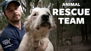 HSUS Animal Rescue Team [upl. by Vicky189]