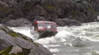 Lower Salmon River Jet Boat Wright Way Drop Idaho Viking [upl. by Awhsoj]